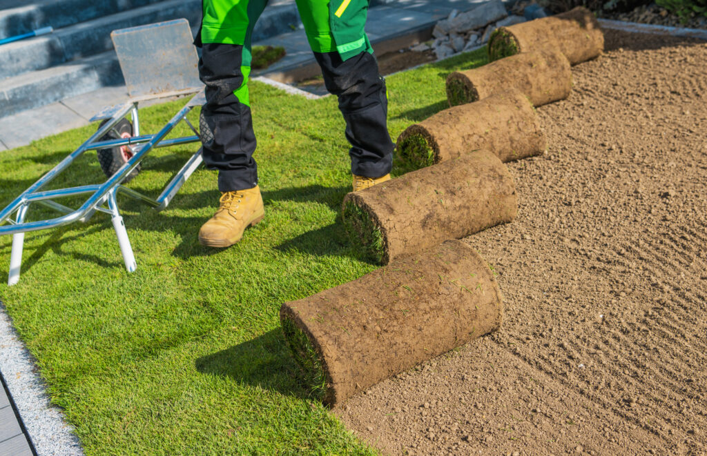 Professional landscaper installing sod on a freshly prepared lawn, showcasing rolled turf and landscaping tools in a commercial lawn installation setting.