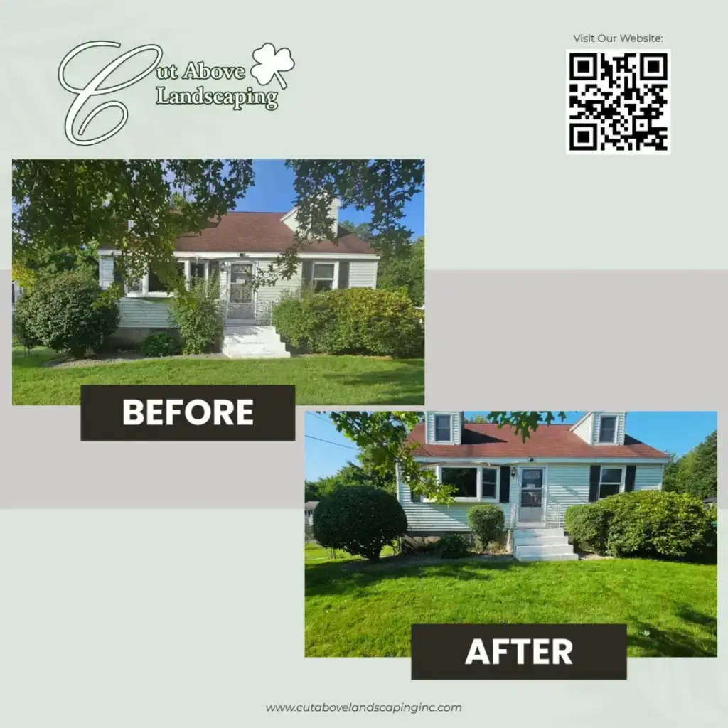 Billerica's Trusted Fall Yard Care Company