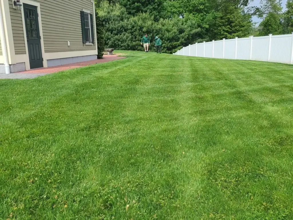 Organic Lawn Care Solutions for Healthy Yards