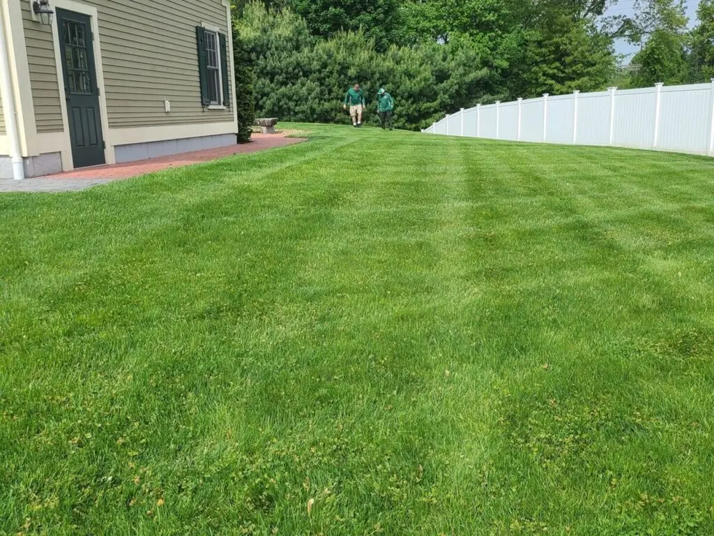 After &mdash; new lawn, irrigation and paver patio installation in Burlington MA by Cut Above Landscaping